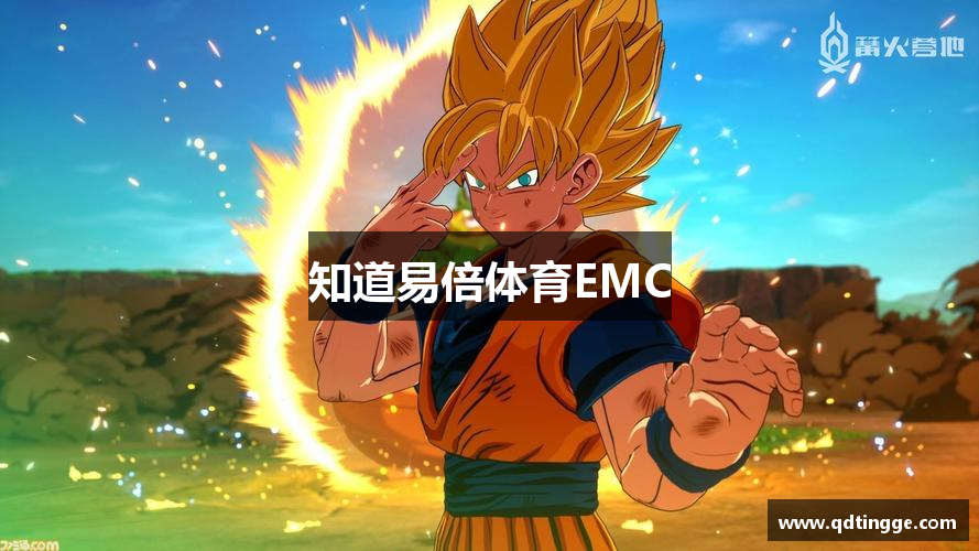 知道易倍体育EMC